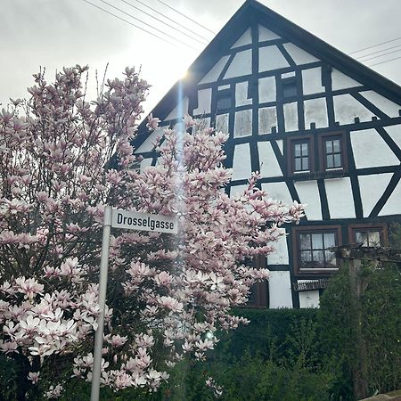 Das Pautzen Haus Daun Exterior foto